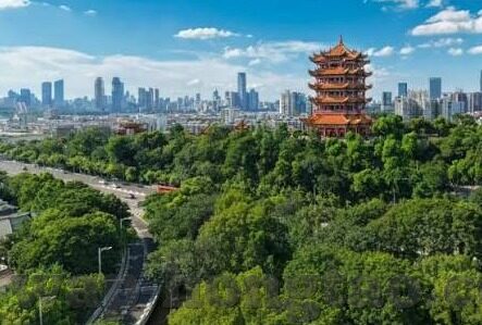 91麻豆网站进入-注意健康上网，远离非法内容