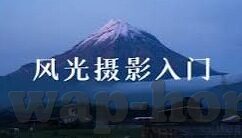 大象小视频路线-探索大象小视频的独特路线，创新与融合的旅程