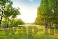 郭童童麻豆文化传媒-激发新热潮