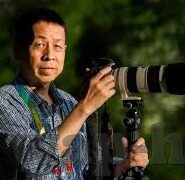 麻豆破解版视频-深度剖析网络内容对青少年影响——麻豆破解版视频现象之反思