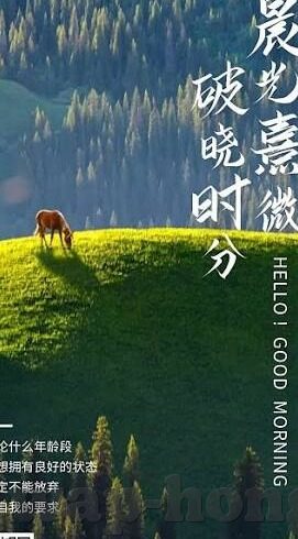 麻豆原创视频官网-麻豆原创视频，解锁创意与灵感的综合性平台