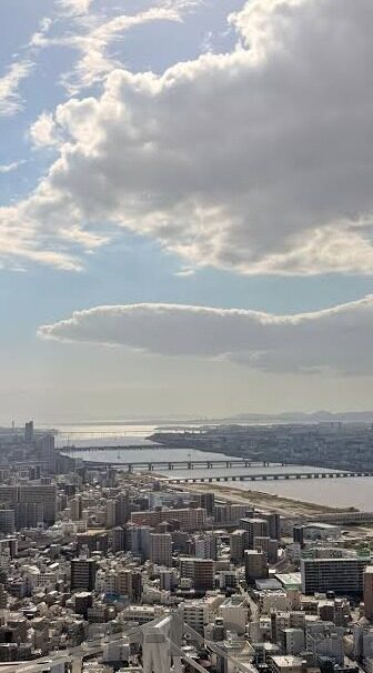 麻豆娱乐app-光泽背后下的数字乐园，麻豆娱乐APP的多元体验之旅