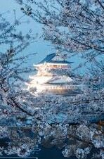免费成人公开视频-免费成人公开视频，网络时代的伦理边界与个人选择