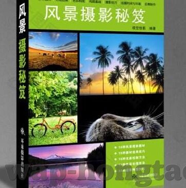 日韩av一区二区在线-日韩AV一区二区在线，网络文化与道德边界的微妙探讨