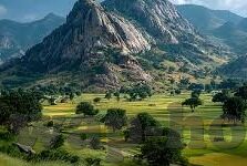 糖心app直播下载地址-探索网络直播新视野，如何轻松获取糖心app直播的高清下载体验