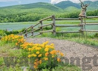 糖心视频APP下载苹果-猫系影音——尽享精彩，尽在糖心视频APP for iPhone