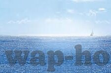 糖心视频app下载-糖心视频应用，洞悉网络时代的内容消费新潮