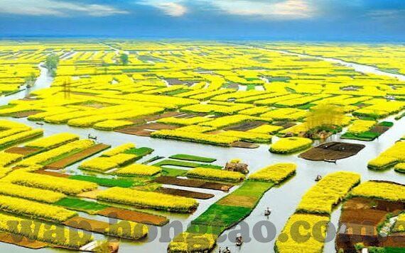 糖心直播app下载-揭秘糖心直播APP，了解它的魅力与风险