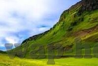 天天排行榜 日韩av-天天排行榜，日韩AV的多元视角与文化现象